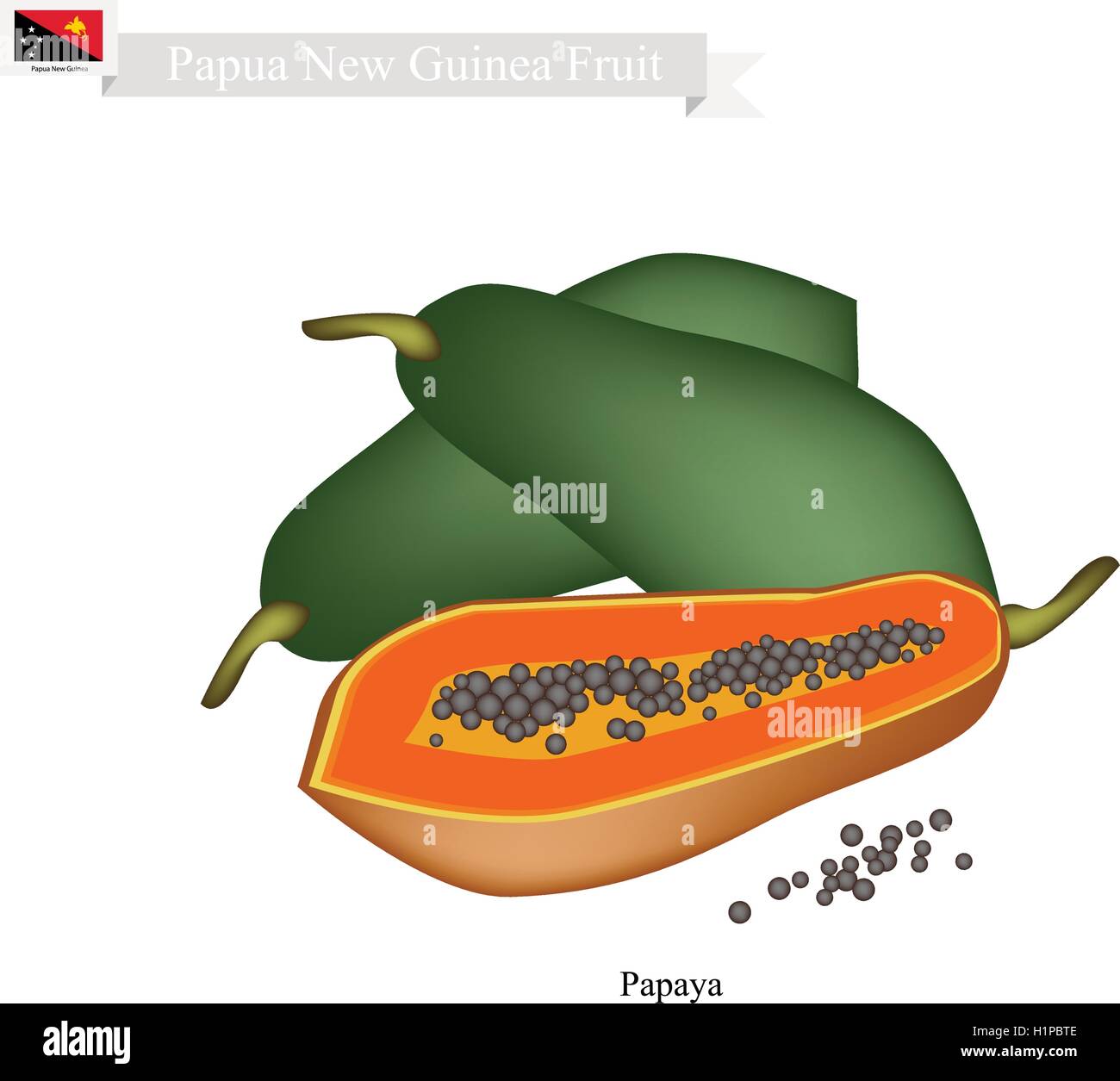 Papua New Guinea Fruit, Illustration of Ripe Papaya. One of The Most