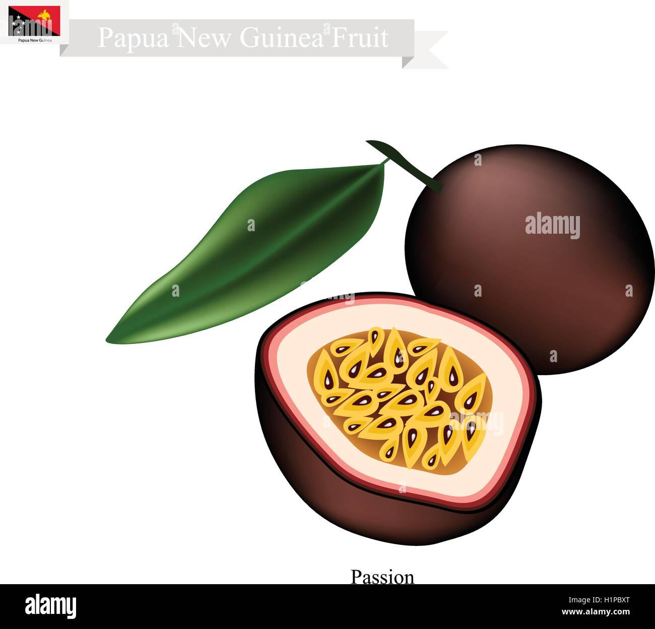 Papua New Guinea Fruit, Illustration of Maracuja or Passion Fruit. One