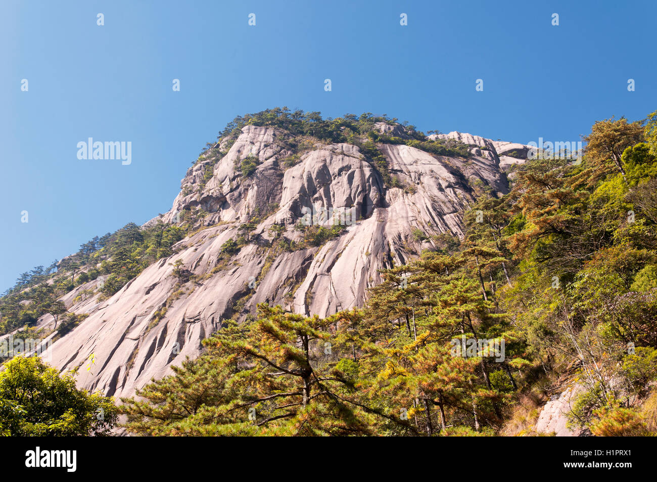 The dramatic landscape of Huangshan or Yellow Mountain located in Anhui Province China. Stock Photo
