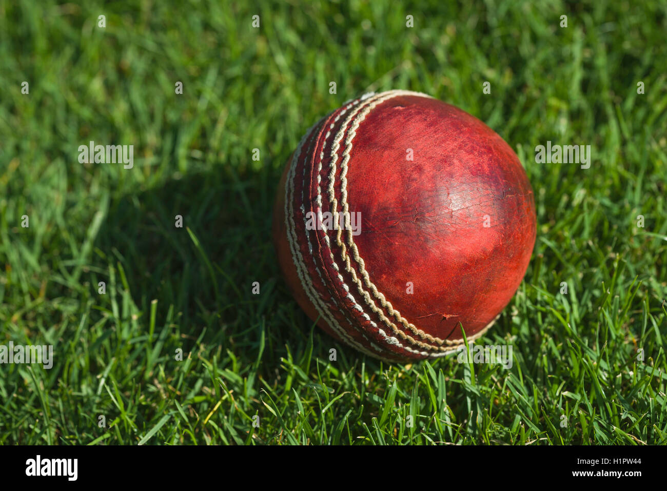 Close up cricket ball hires stock photography and images Alamy