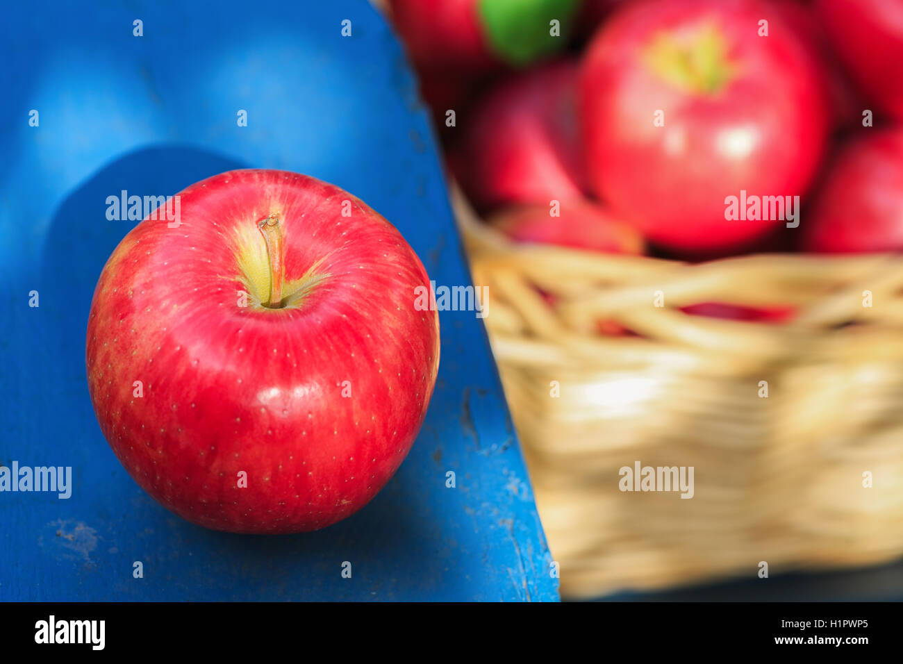 https://c8.alamy.com/comp/H1PWP5/a-basket-of-freshly-picked-honey-crisp-apples-sitting-on-an-outdoor-H1PWP5.jpg