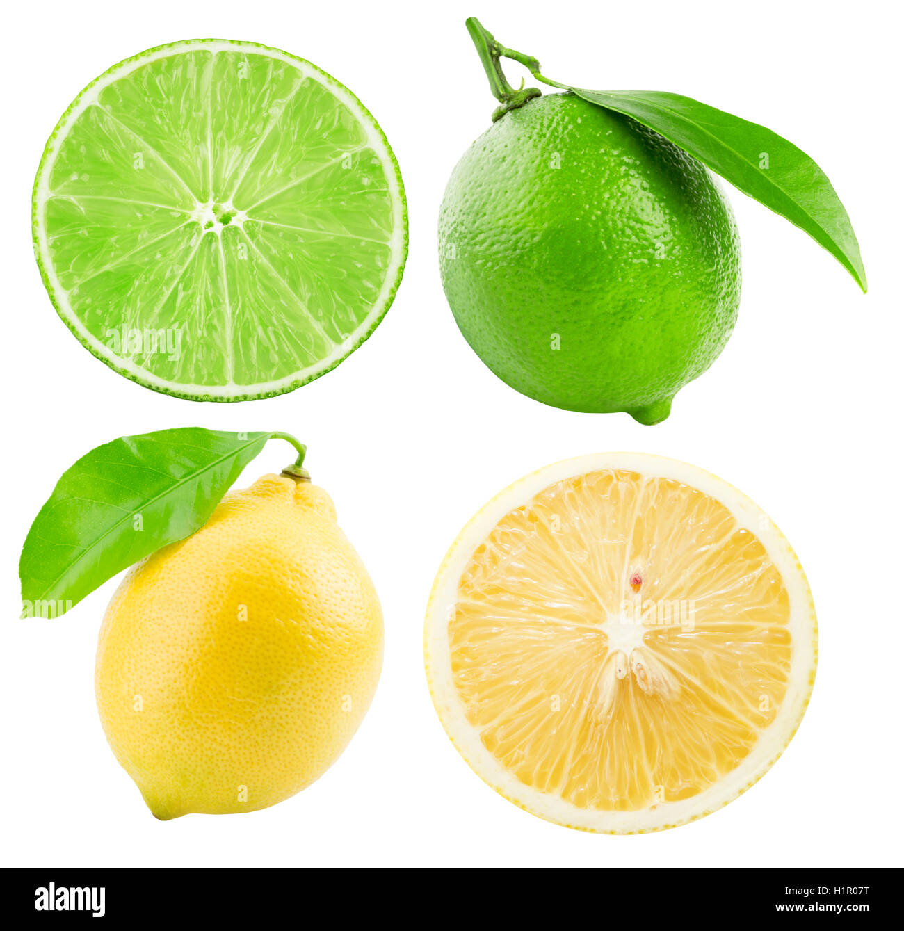collection of limes and lemons isolated on the white background. Stock Photo
