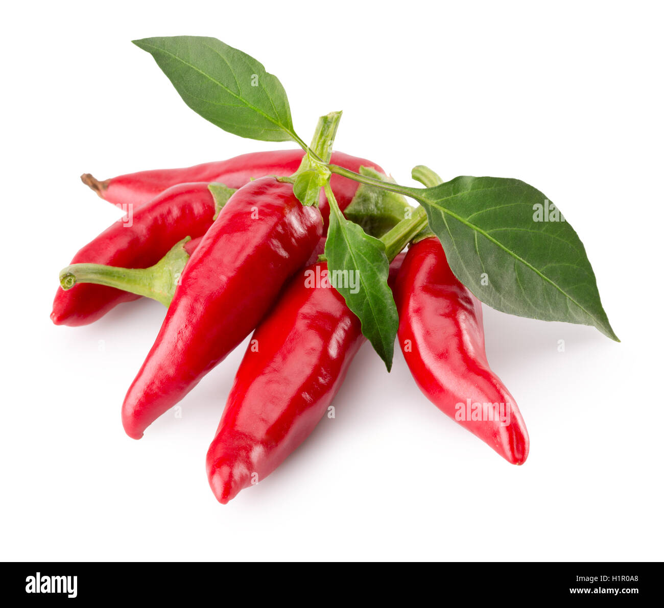 red chilli peppers isolated on the white background. Stock Photo