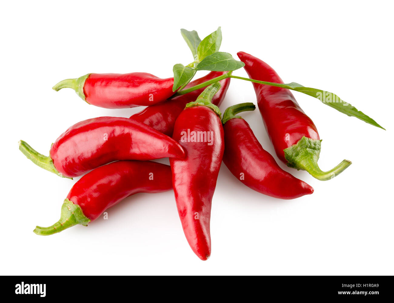 red chilli peppers isolated on the white background. Stock Photo