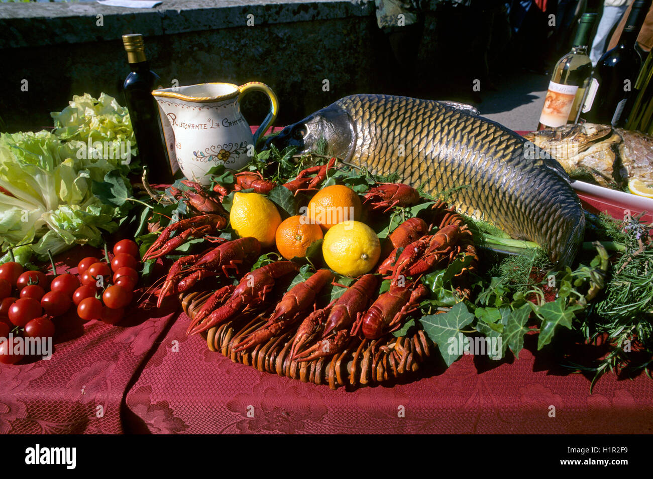 Louisiana red crayfishes (Procambarus clarkii) and common carp (Cyprinus carpio) for display, Castiglione del Lago, Umbria Stock Photo