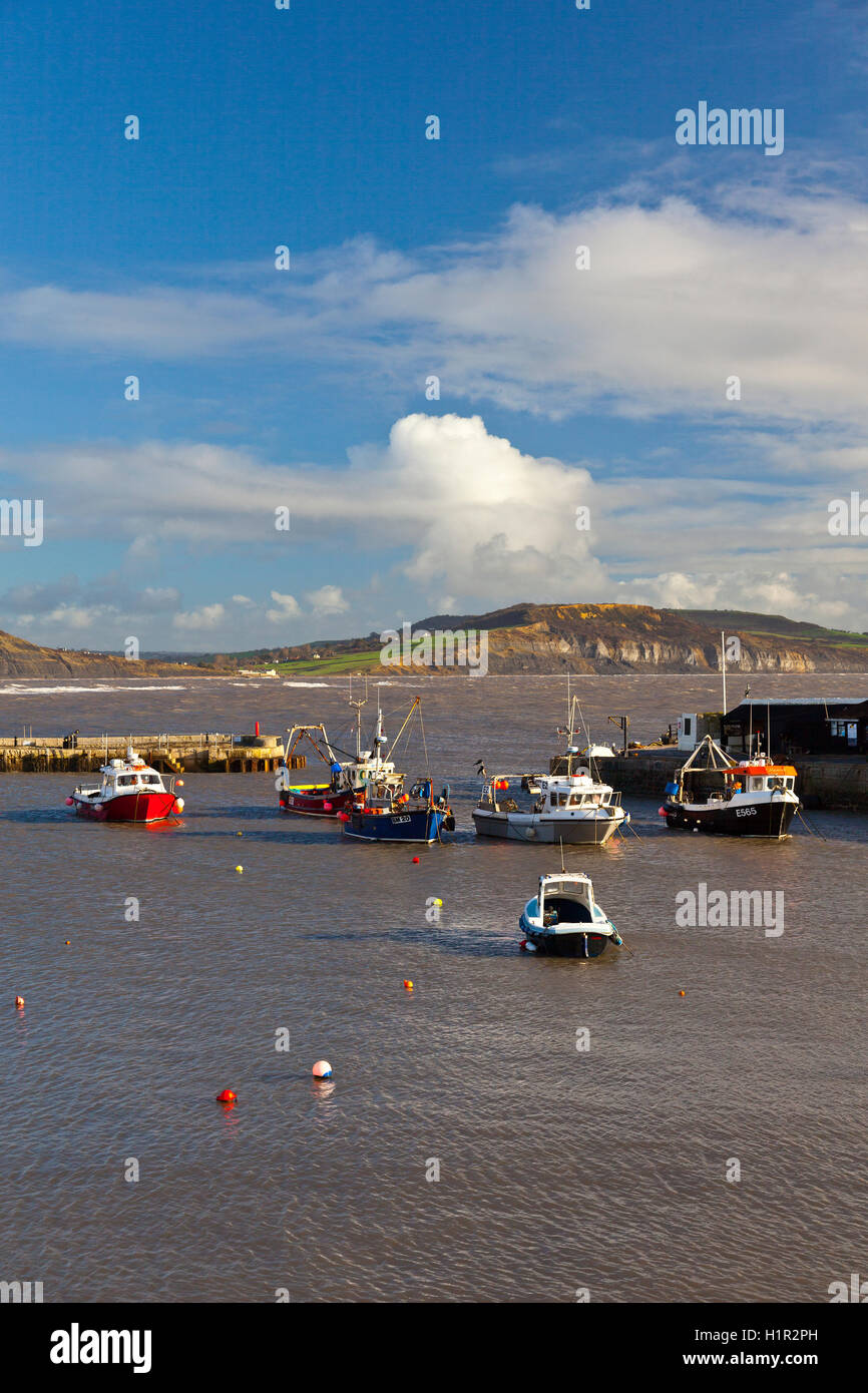 Fishing boats on a winter high tide in the harbour at Lyme Regis