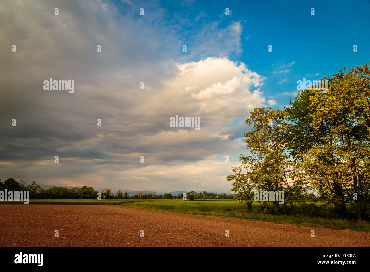 an evening storm in the italian countryside Stock Photo - Alamy
