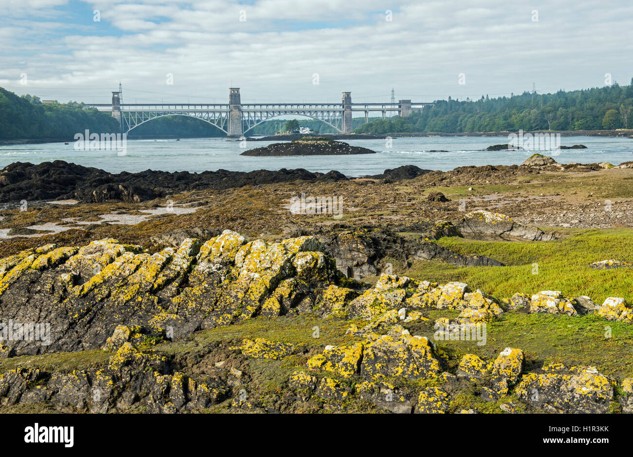 The Britannia Bridge crossing the Menai Strait to Anglesey seen from St Tysilio's Island Stock Photo