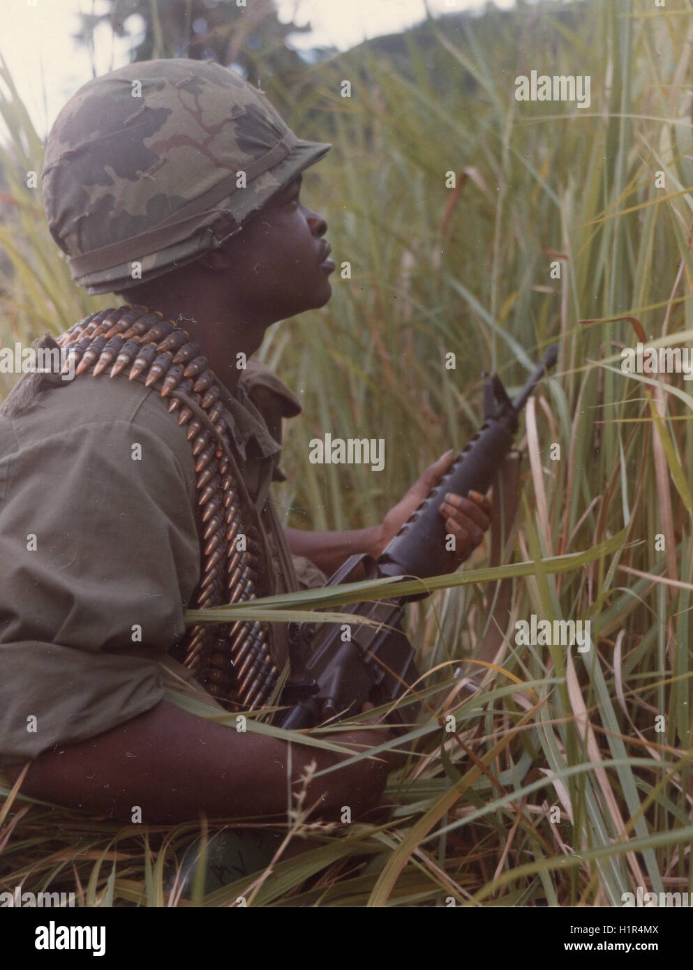 A soldier from the 4th Infantry Division keeps watch from the cover of tall elephant grass during a search and clear operation in the mountains south of Fire Support Base Action. Stock Photo