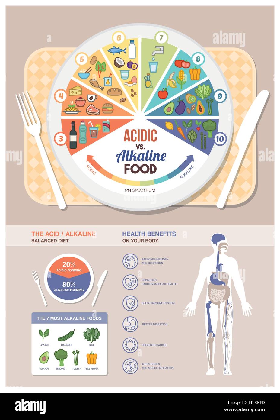 The acidic alkaline diet food chart infographics with food icons on a ph scale, table with dish and human body with health benef Stock Vector