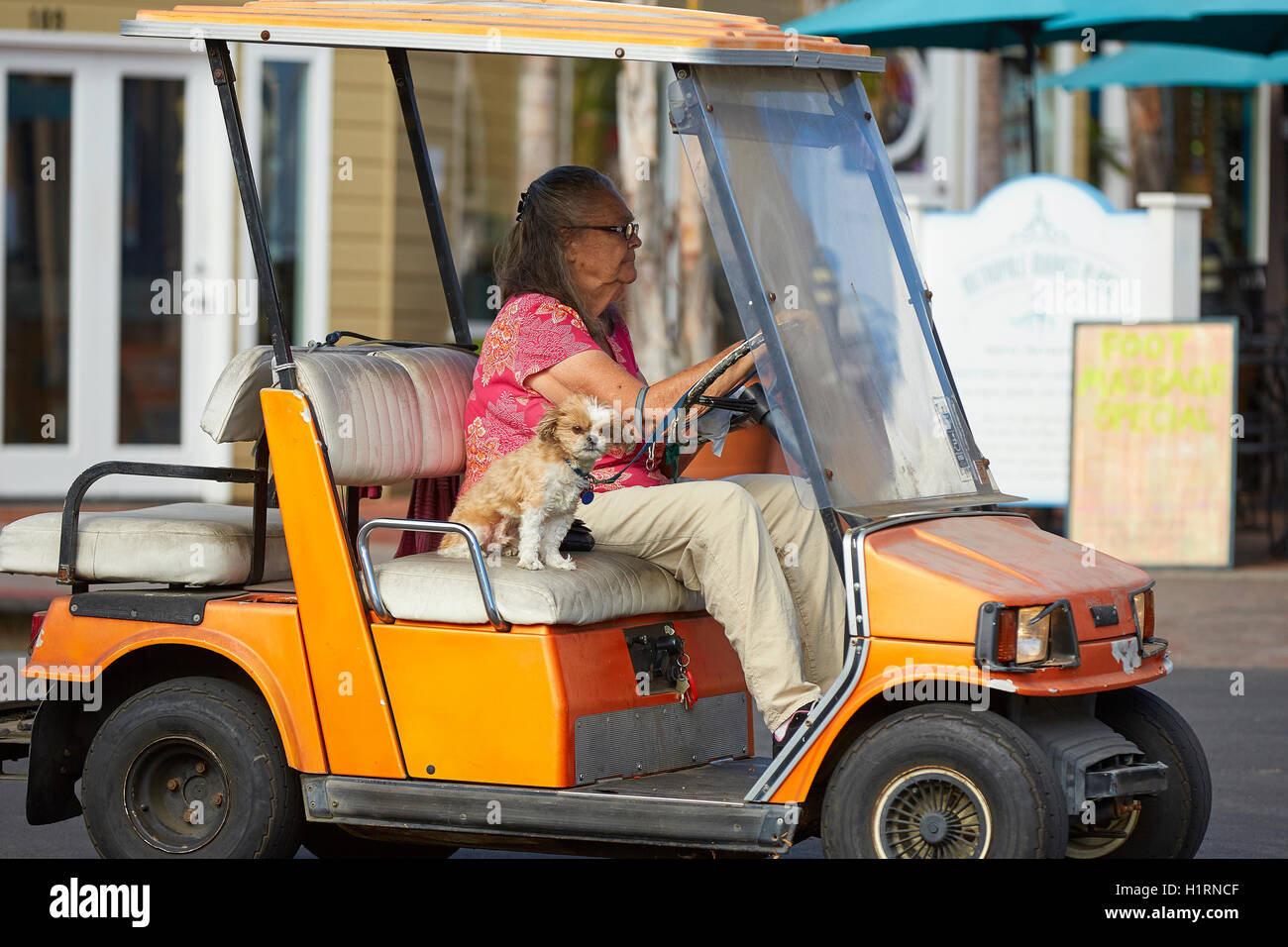 Senior Lady With Her Dog, Driving In Golf Cart In Avalon, Santa