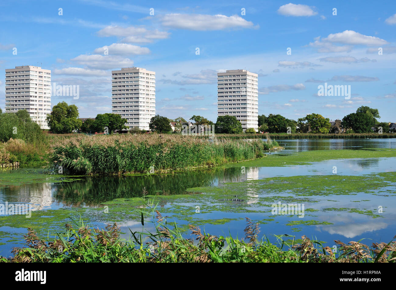 Woodberry Wetlands nature reserve in summer, North London UK,  with tower blocks in background Stock Photo