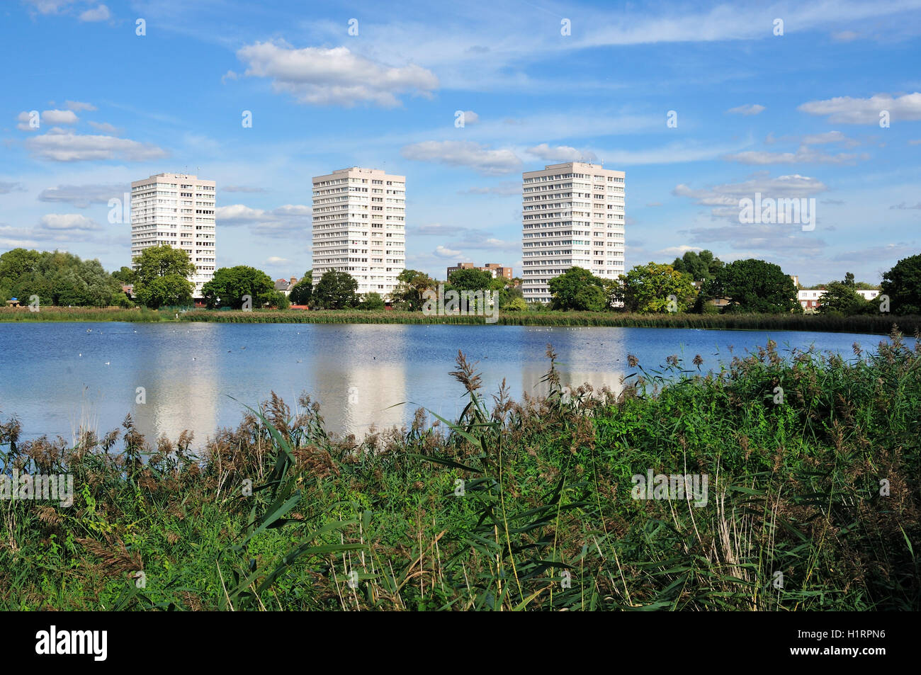 Tower blocks in North London UK,  viewed from Woodberry Wetlands nature reserve Stock Photo