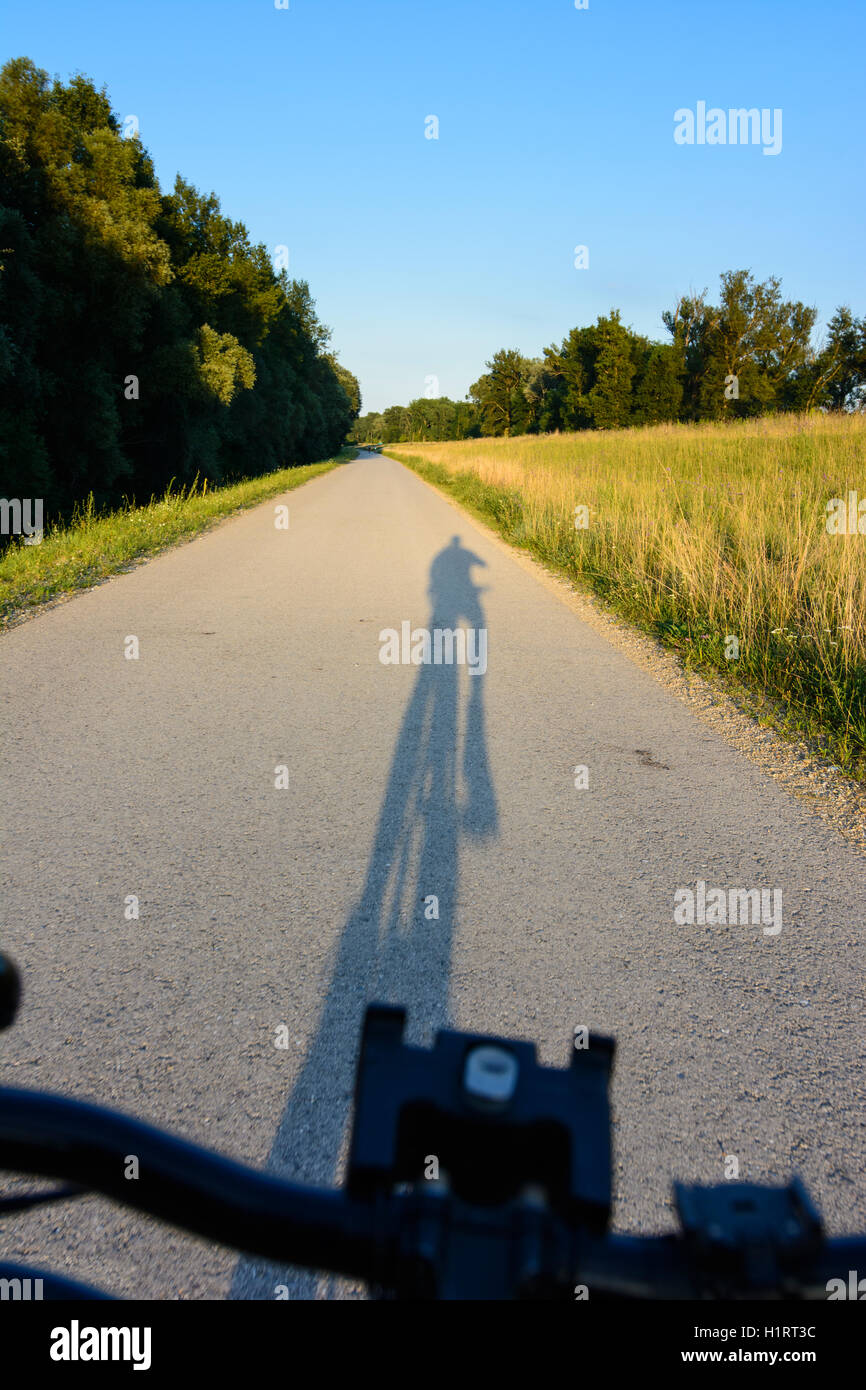 Nationalpark Donauauen, Danube-Auen National Park: shadow of cyclist, own perspective, cycle path, Hubertusdamm, Donau, Niederös Stock Photo