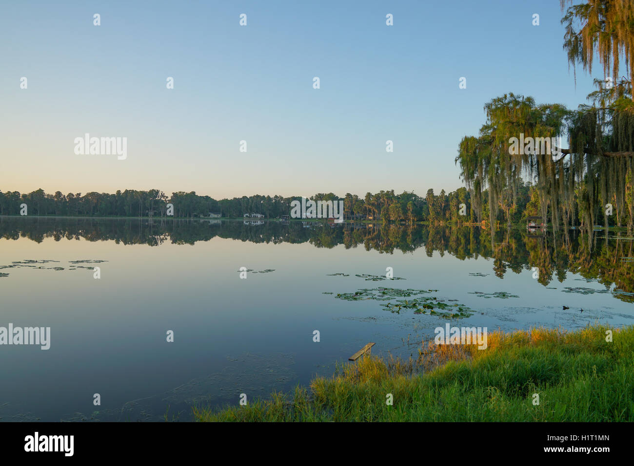 A Beautiful Morning on North Crystal Lake in Lutz Florida Stock Photo