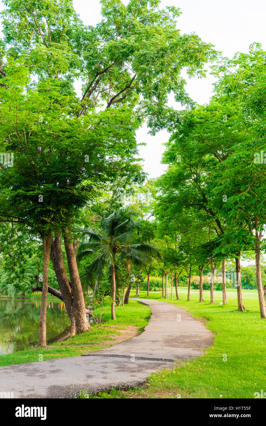 Green lawn in city park and pathway, Beautiful park Stock Photo Alamy