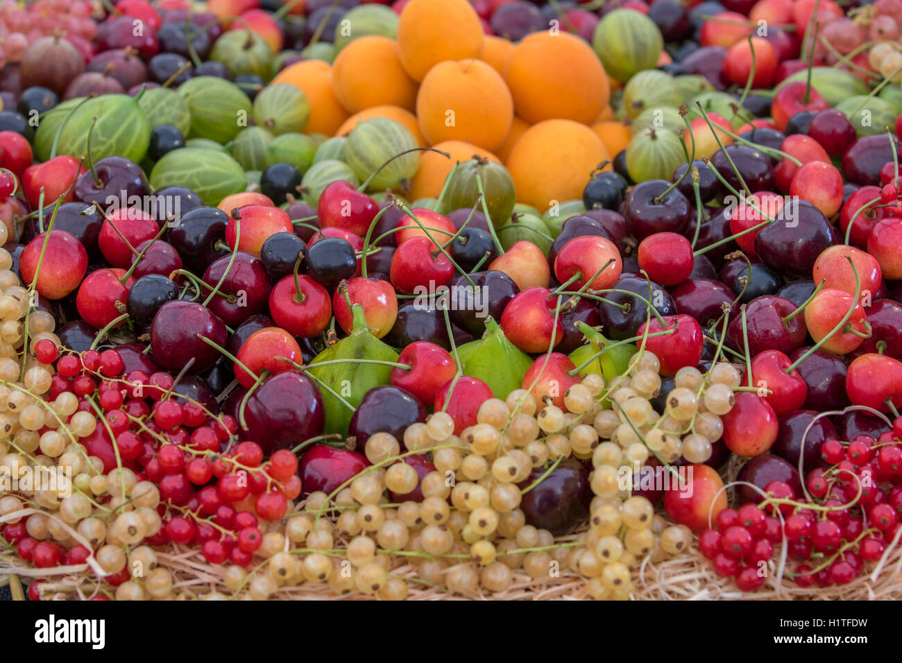 Basket of mixed fruit hi-res stock photography and images - Alamy