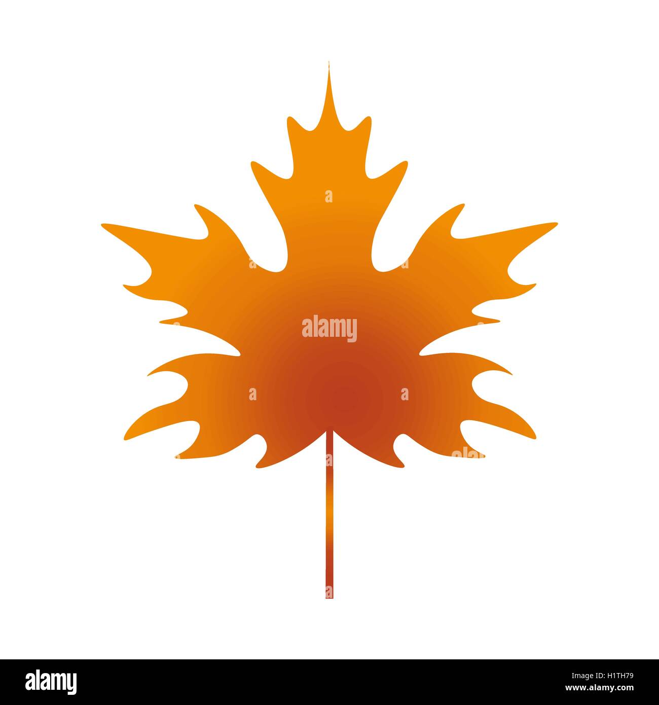 Maple leaf illustration Stock Vector Images - Alamy