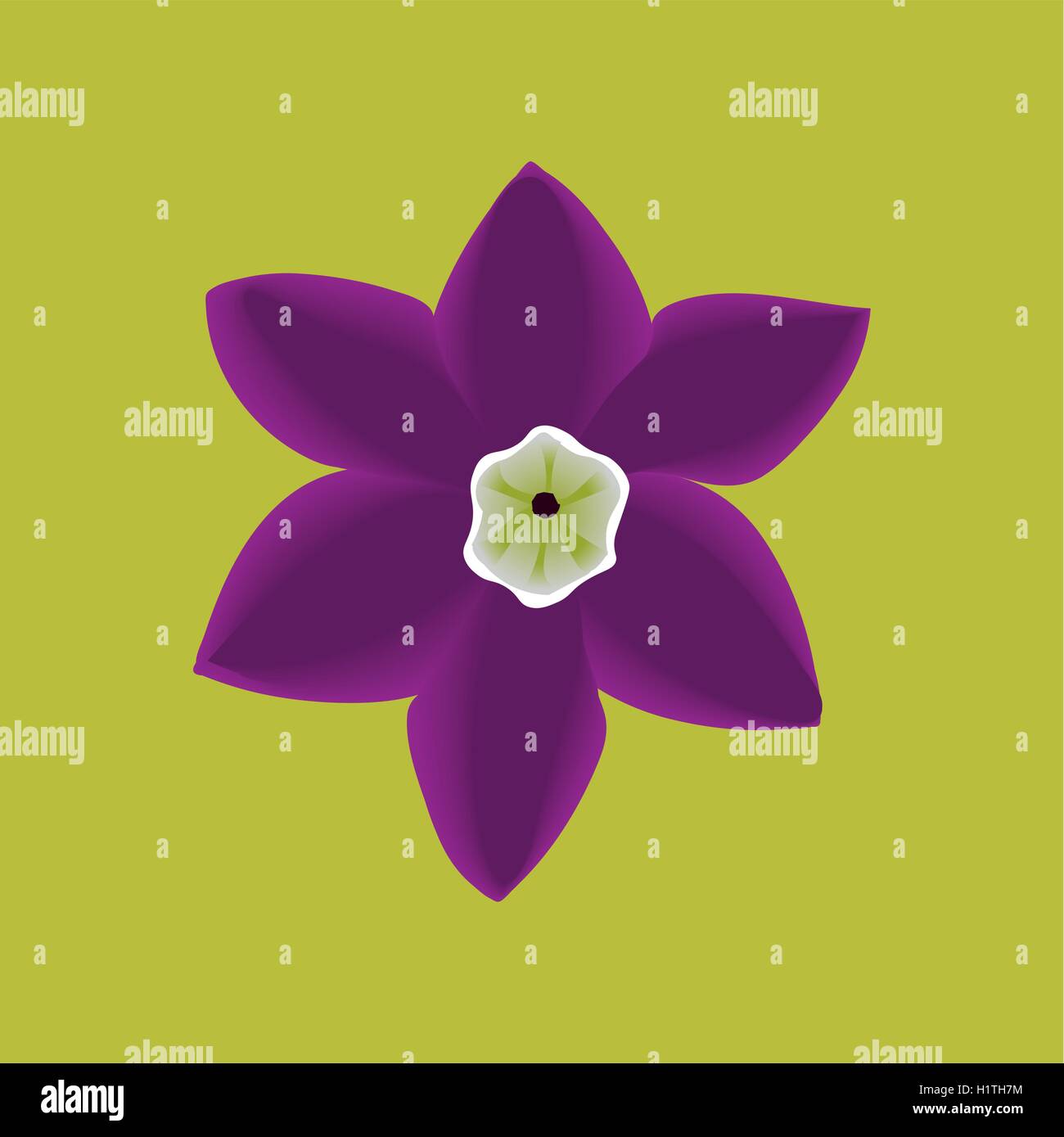 Lily flower vector Stock Vector Images - Alamy