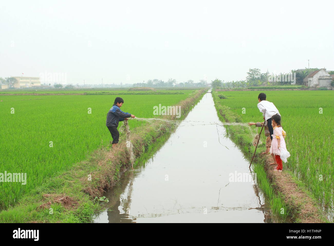 Nam Dinh, Vietnam - March 28, 2010: Children are playing in the paddy field in the countryside of the North of Vietnam Stock Photo