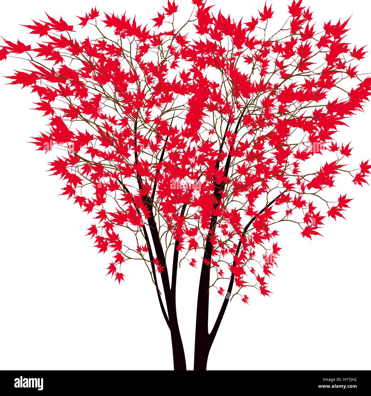 Card with autumn maple tree. Red maple trees in the middle. Japanese red maple. Stock Vector