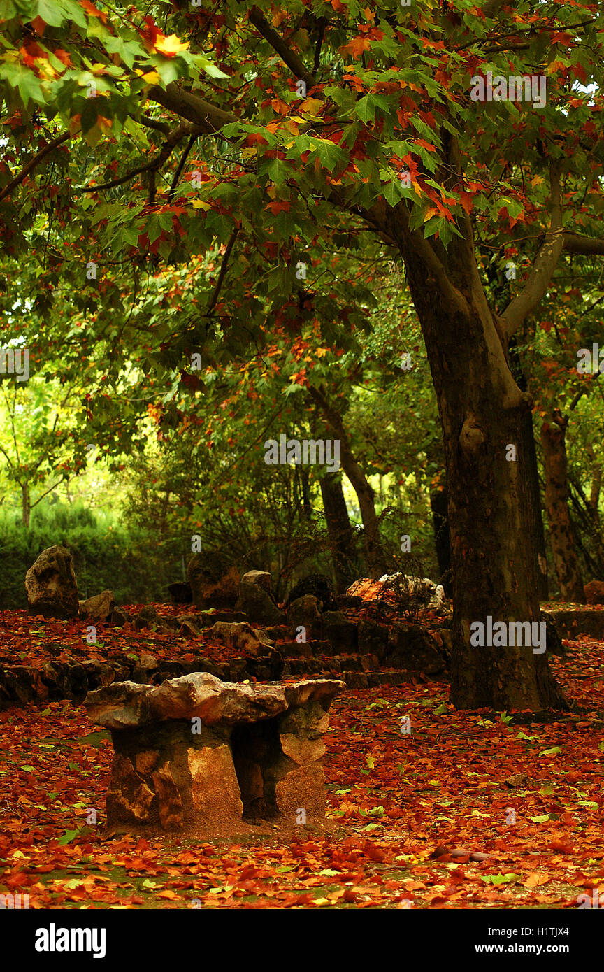 Stone bench in a park at autumn with green, yellow and orange leaves on ...
