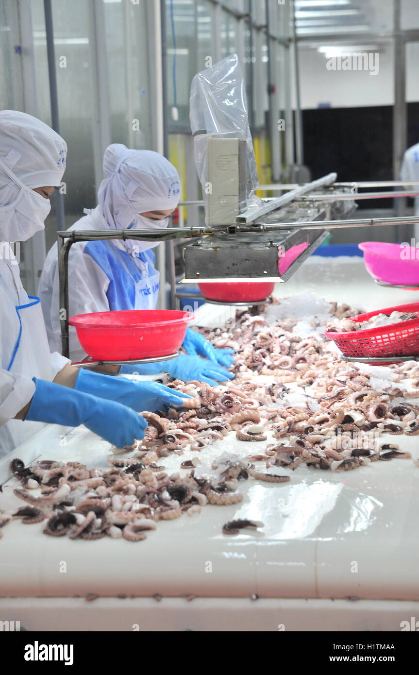 Seafood processing factory plant hi-res stock photography and images - Page  2 - Alamy