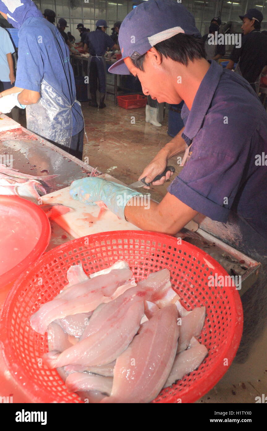 Production line workers filleting fish hi-res stock photography and ...
