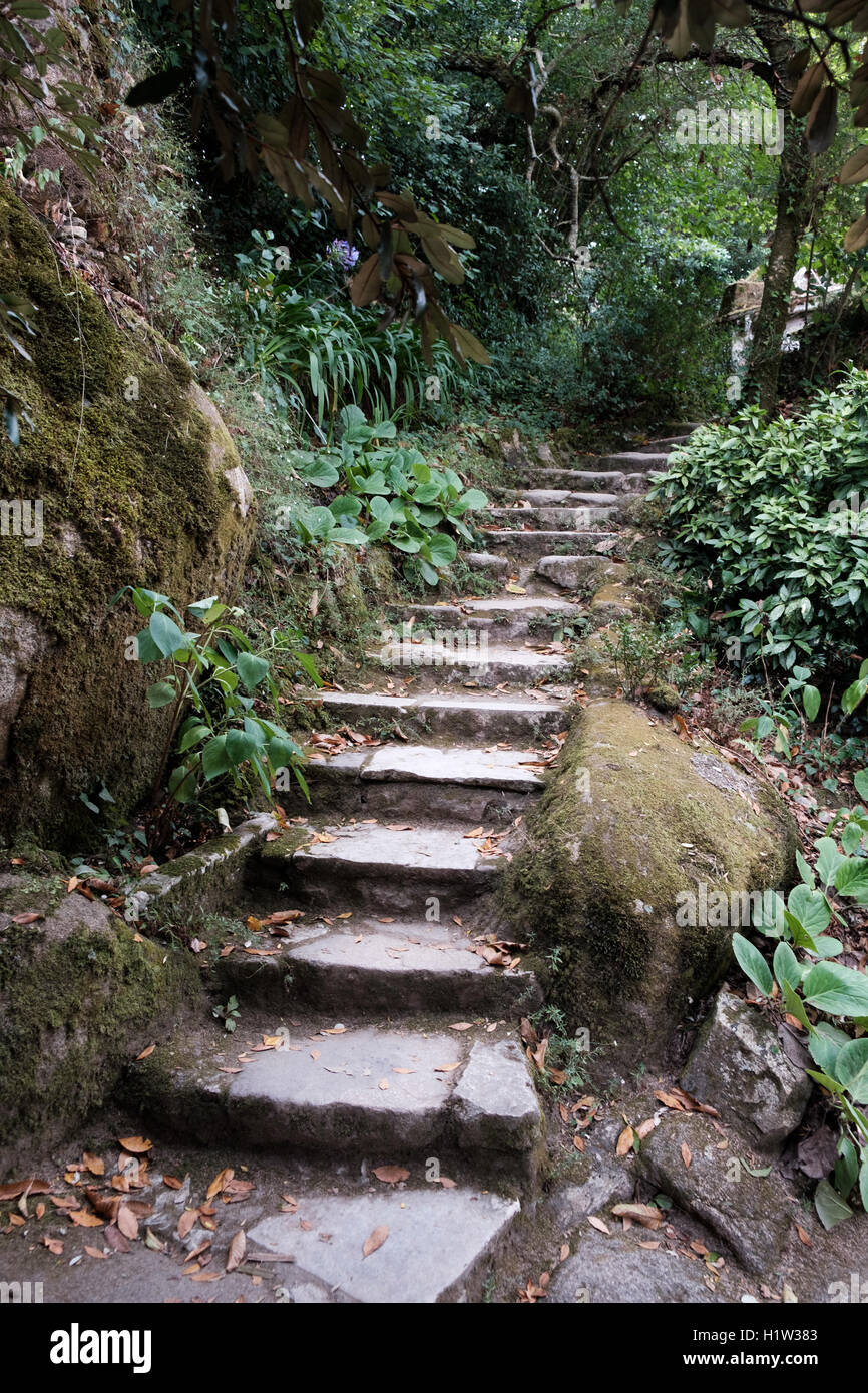 The Convent of the Holy Cross, known both as Capuchos and the Cork Convent, near Sintra, Portugal Stock Photo