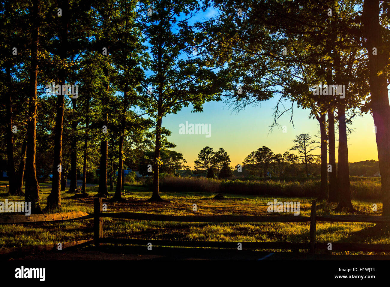 Long neck delaware hires stock photography and images Alamy