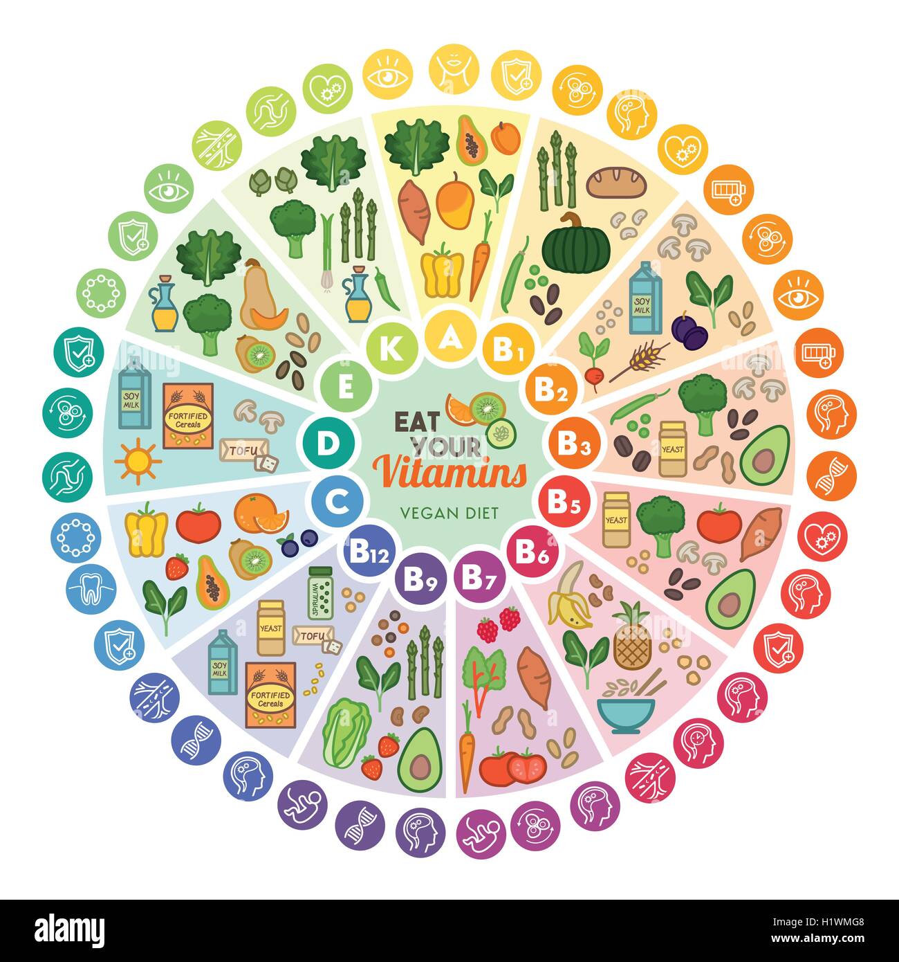 Vitamin vegan food sources and functions, rainbow wheel chart with food icons, healthy eating and healthcare concept Stock Vector
