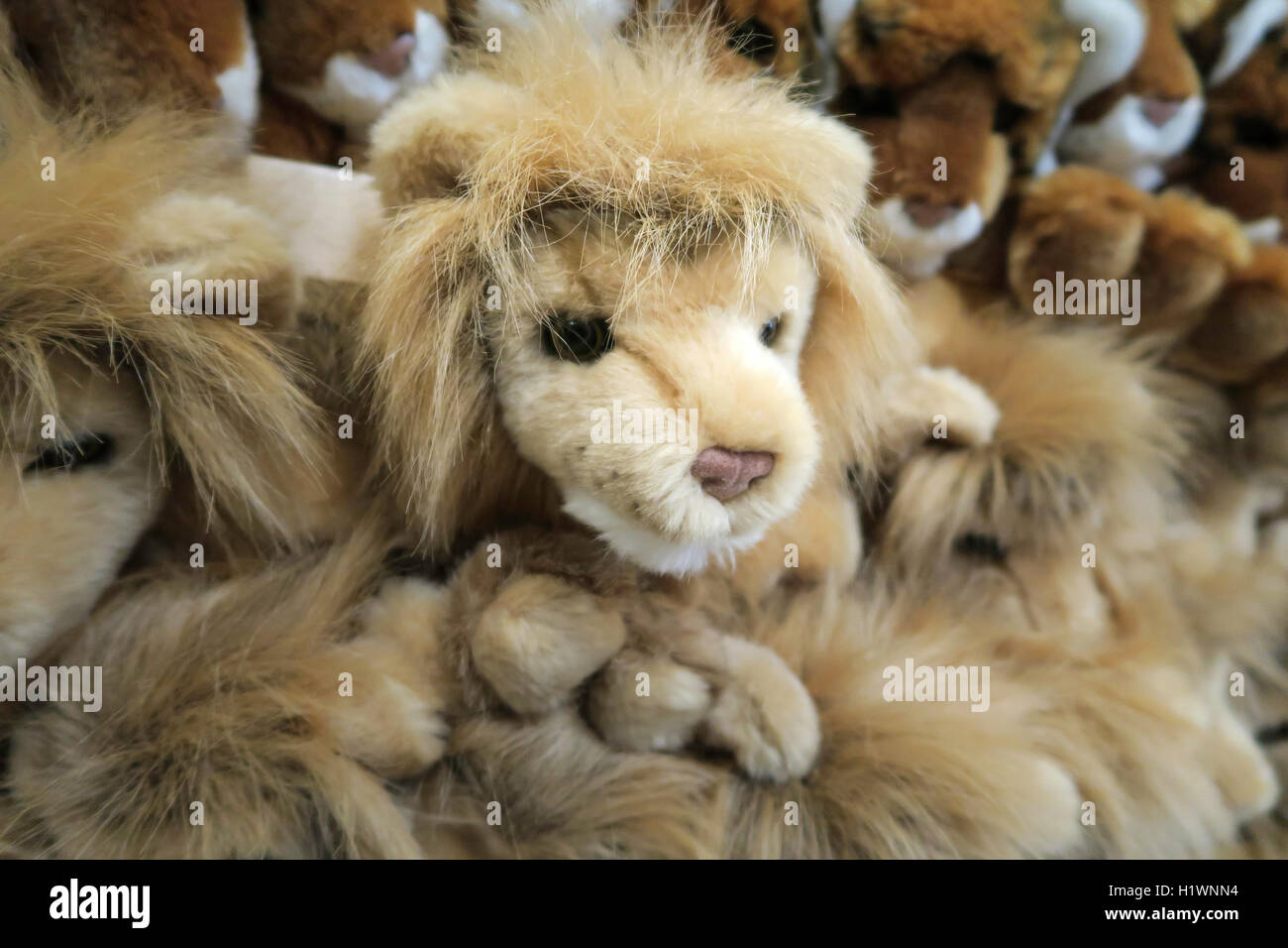 Gift Shop stuffies at The Bronx Zoo, Wildlife Conservation Society, Bronx Park, Bronx, NYC Stock Photo