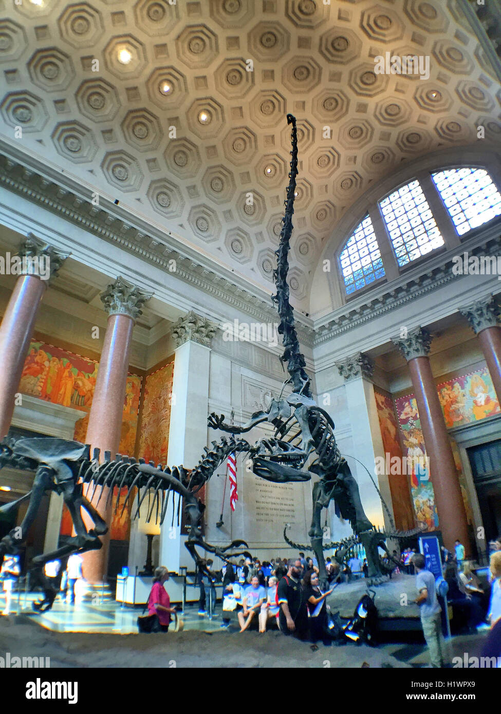 American Museum of Natural History, NYC Stock Photo - Alamy