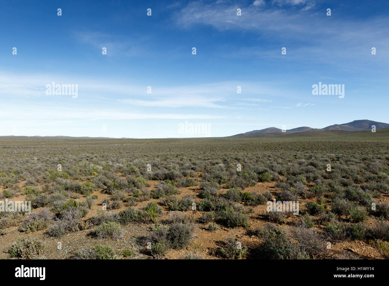 The beautiful Blue Green Flat Tankwa Karoo landscape Stock Photo