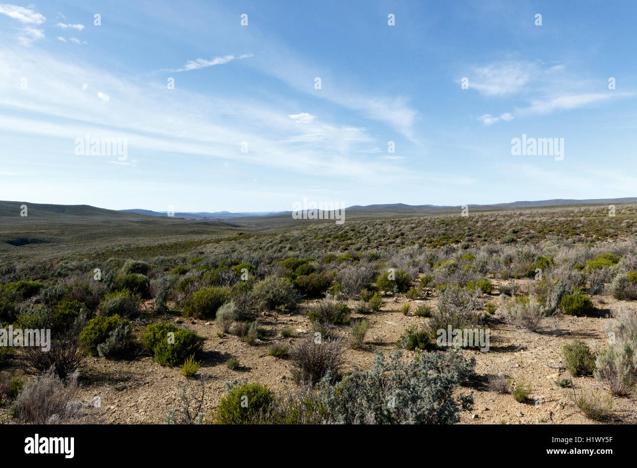 Landscape Blue Skies and green fields of The Karoo Stock Photo
