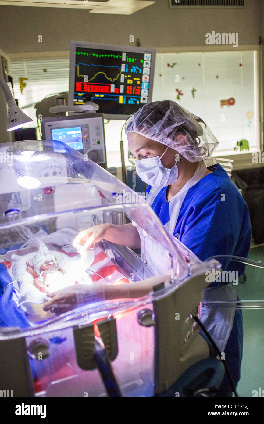Premature newborn baby undergoing ultraviolet light treatment for jaundice, Pediatrics department, Bordeaux hospital, France. Stock Photo