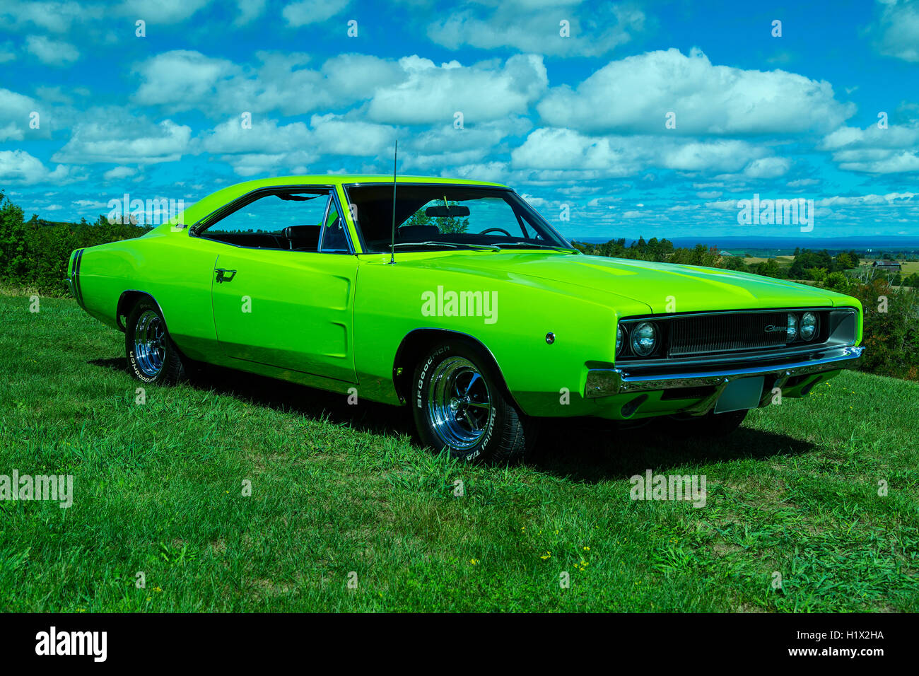 1968 Dodge Charger Stock Photo