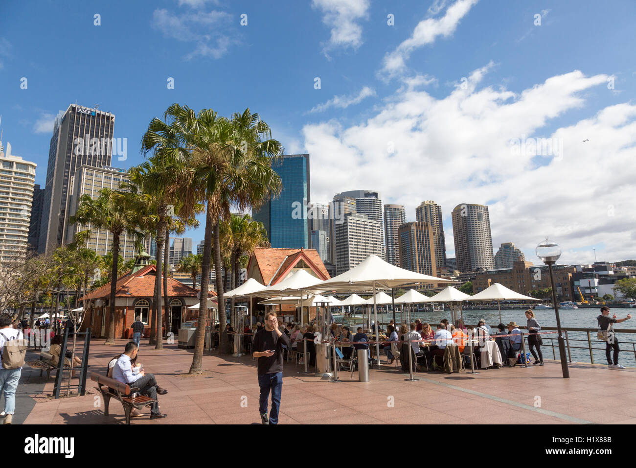 Sydney circular quay with office buildings behind and local cafe coffee