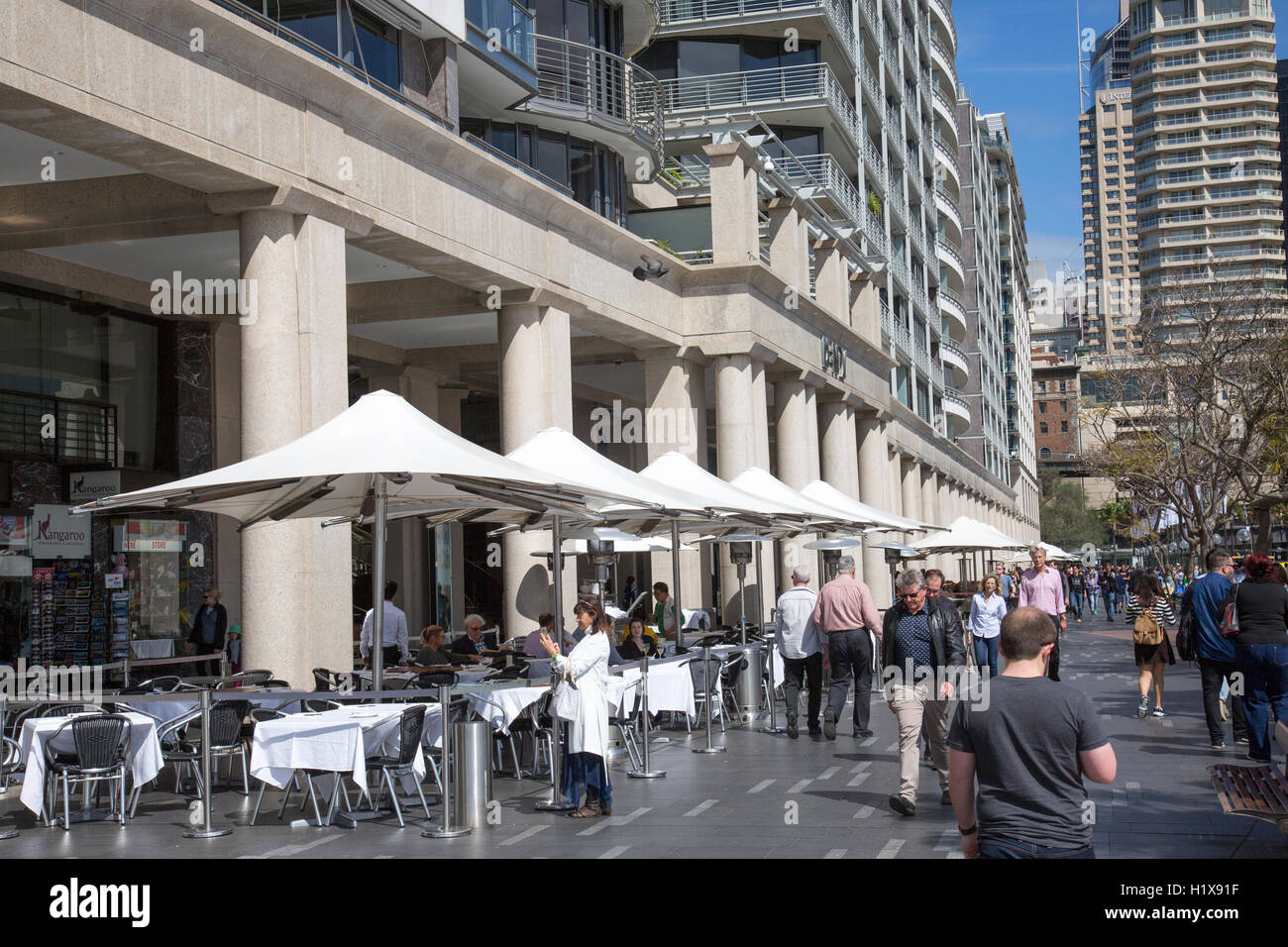 Sydney circular quay with office buildings behind and local cafe coffee