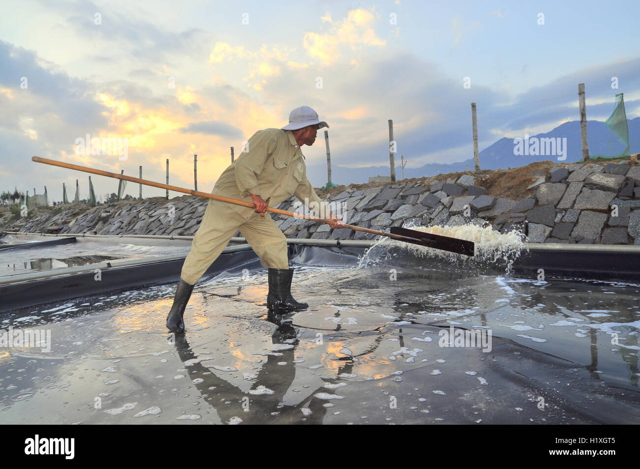 Ninh Hoa, Vietnam - March 2, 2012: A worker is slapping water out of the salt extracting field in the early morning Stock Photo