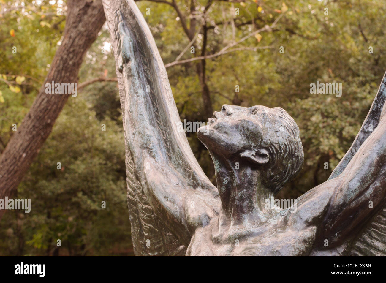 Detail from top profile of 'Spirit of Flight' bronze sculpture by Charles Umlauf. Stock Photo