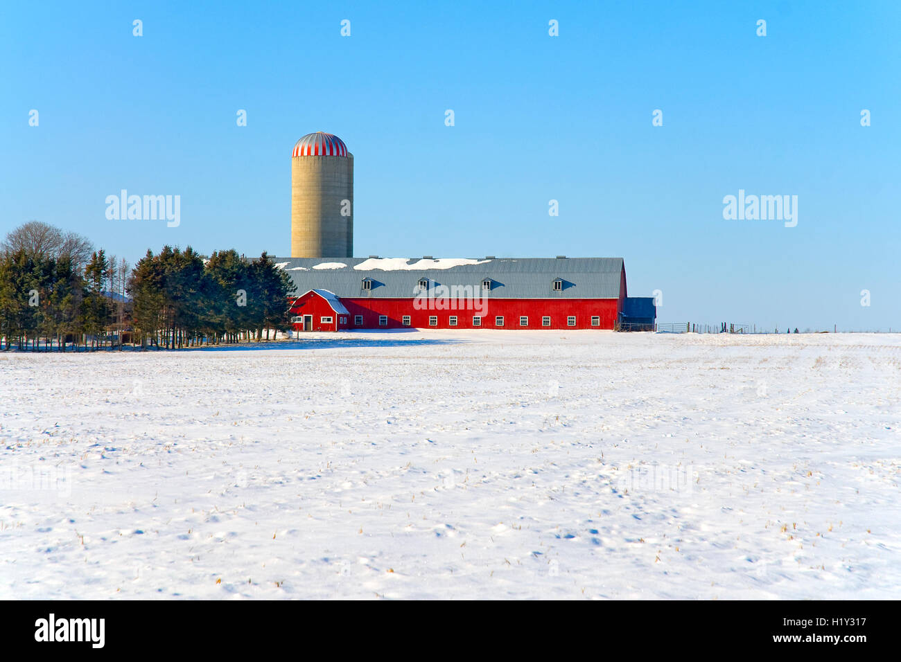 Red barn and silo in snow covered field Stock Photo
