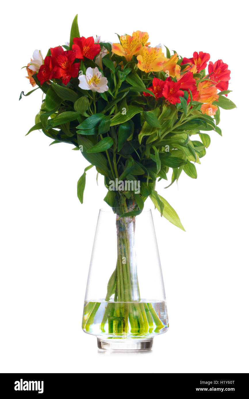 Beautiful Coloured Flowers in the Glass Vase Isolated on White Stock Photo Alamy