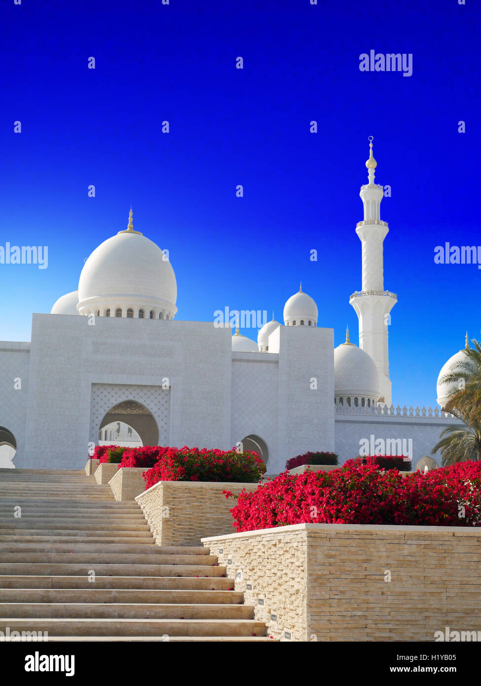 Sheikh Zayed mosque in Abu Dhabi Stock Photo