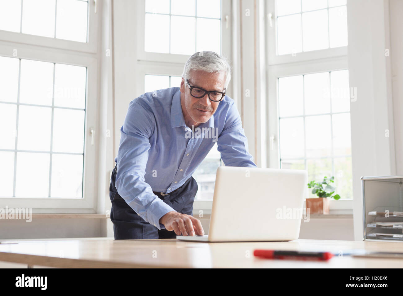 Mature businessman using laptop at office desk Stock Photo