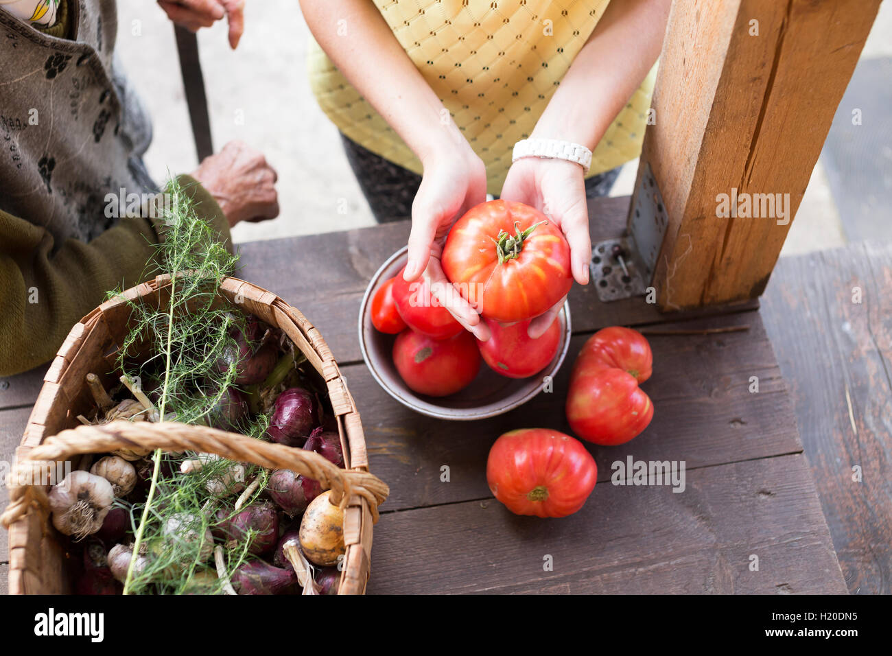 Woman's hands holding tomato Stock Photo - Alamy