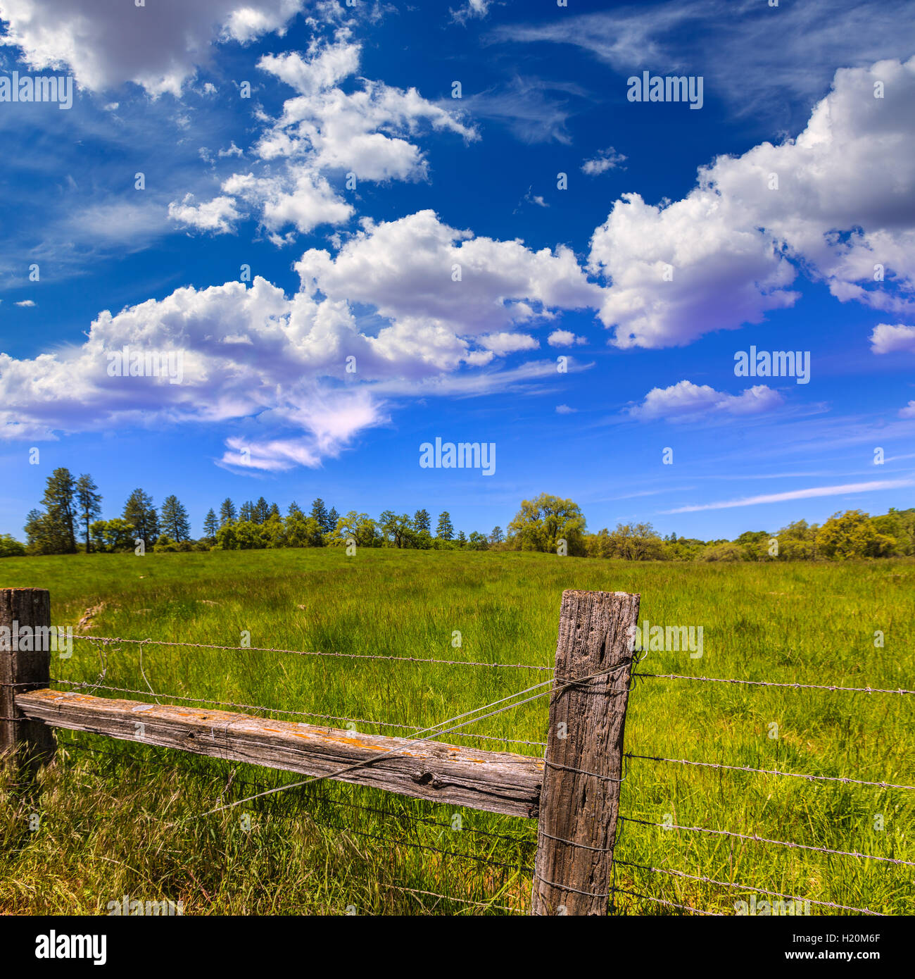 Meadow Ranch California meadow ranch in a blue sky spring day Stock Photo - Alamy