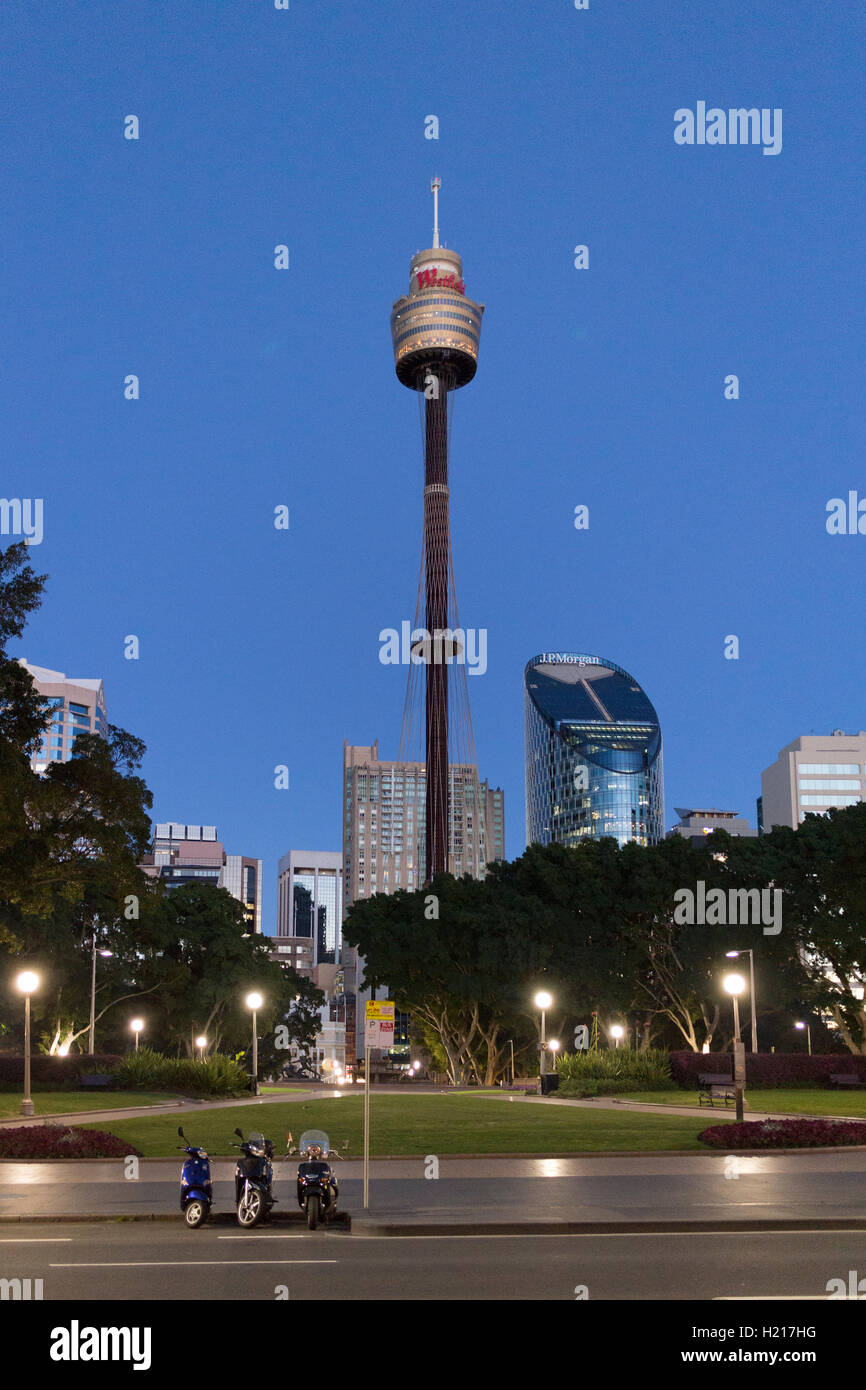 Dawn light at Hyde Park and Sydney Tower Sydney  New South Wales Australia Stock Photo