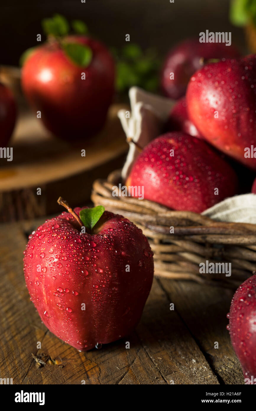 https://c8.alamy.com/comp/H21A6F/raw-organic-red-delicious-apples-ready-to-eat-H21A6F.jpg