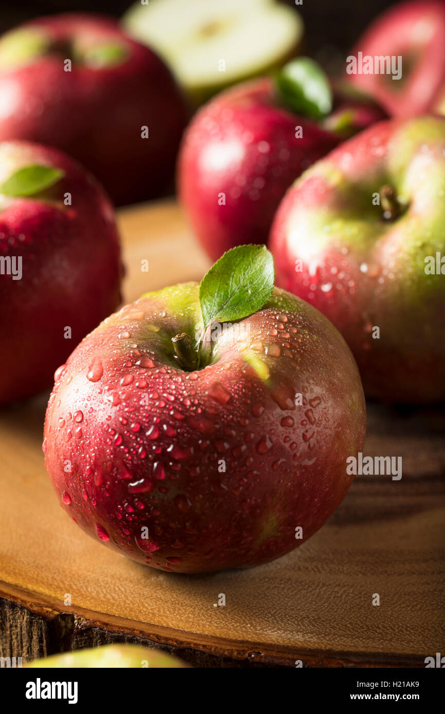 Raw Organic Red Mcintosh Apples Ready for Eating Stock Photo Alamy